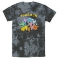 thumbnail image 1 of Men's Pokemon Eeveelutions Graphic Tee Black/Charcoal Small, 1 of 4