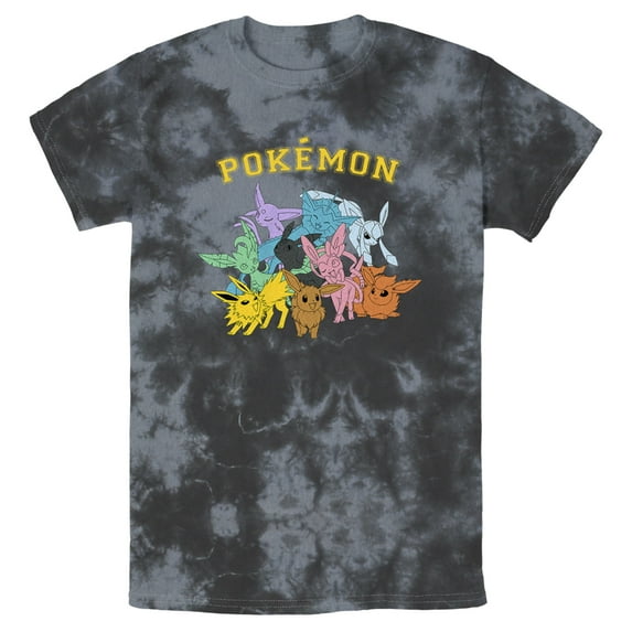 Men's Pokemon Eeveelutions Graphic Tee Black/Charcoal Small