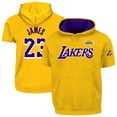 thumbnail image 1 of Men's Fanatics LeBron James Gold Los Angeles Lakers Big & Tall Short Sleeve Hoodie, 1 of 3
