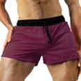thumbnail image 1 of Men's Quick Dry Sports Shorts Drawstring Elastic Waist Athletic Gym Workout Shorts with Pockets, 1 of 3