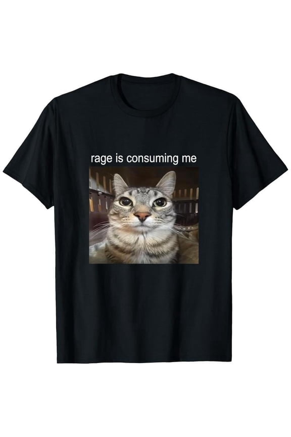 Men's Rage Is Consuming Me Silly Staring Cat Meme T-Shirt