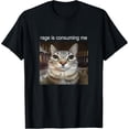 thumbnail image 1 of Men's Rage Is Consuming Me Silly Staring Cat Meme T-Shirt, 1 of 4