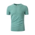 thumbnail image 1 of Men's Ribbed Knit T-Shirt Short-Sleeve Casual Solid Basic Top Soft Stretch Fabric Spring & Summer Versatile Daily Tees,Mint Green,XXL, 1 of 5