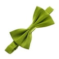 thumbnail image 1 of Men's Satin Adjustable Pre-Tied Bow Tie - Leaf Green, 1 of 6