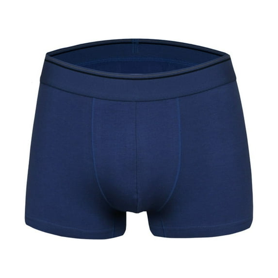 Men's See-Through Thong G-String Underwear, Men's Hot T-Back Thong G-String Halloween Gift for Husband Blue M