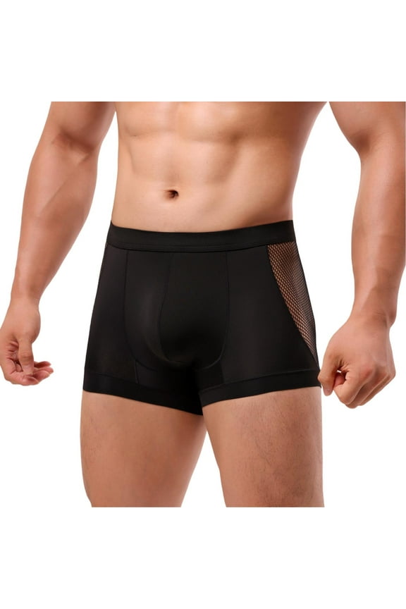 Men's Sexy Briefs Nylon High Elastic Lightweight Mid Waist Semi Transparent Briefs