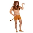 thumbnail image 1 of Men's Sexy Lion Costume, 1 of 6