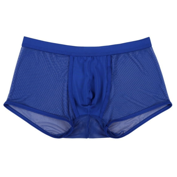 Men's Sexy Mesh Boxer Briefs Hollowed Out Breathable Underwear See Through Transparent Comfortable Lingerie Style Lightweight Trunks