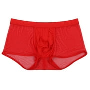 Mens Sexy Mesh Boxer Briefs Hollowed Out Breathable Underwear See Through Transparent Comfortable Lingerie Style Lightweight Trunks