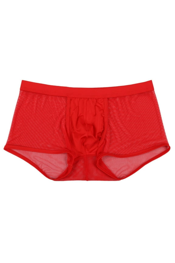 Men's Sexy Mesh Boxer Briefs Hollowed Out Breathable Underwear See Through Transparent Comfortable Lingerie Style Lightweight Trunks