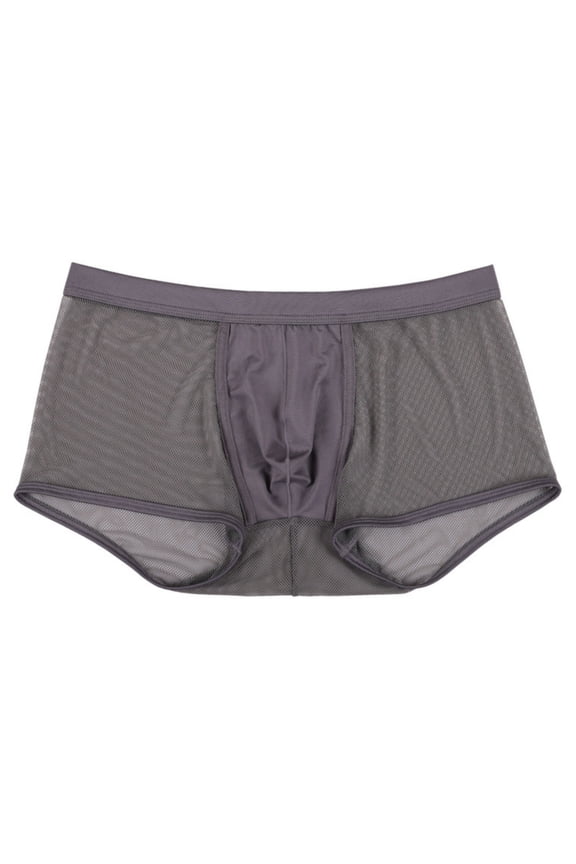 Men's Sexy Mesh Boxer Briefs Hollowed Out Breathable Underwear See Through Transparent Comfortable Lingerie Style Lightweight Trunks