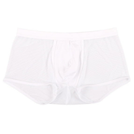 Men's Sexy Mesh Boxer Briefs Hollowed Out Breathable Underwear See Through Transparent Comfortable Lingerie Style Lightweight Trunks