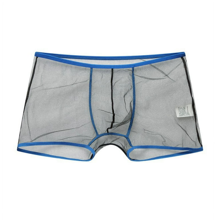 Mens sheer pouch underwear hotsell