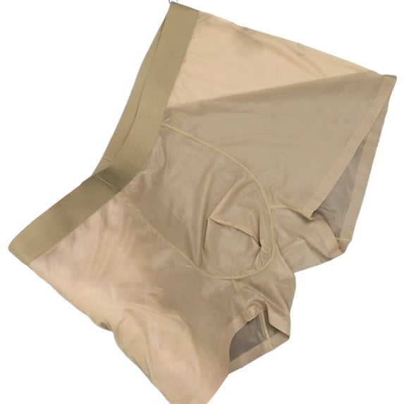 Men's Sheer Ice Silk Boxer Briefs Underwear Light Coffee XL