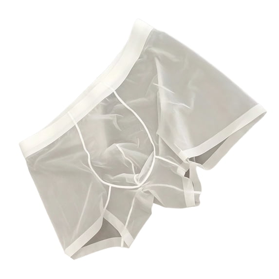 Men's Sheer Ice Silk Boxer Briefs Underwear White XL
