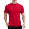 thumbnail image 1 of Men's Short Sleeve Muscle Fit Athletic T-Shirts Mock Neck Quick Dry Performance Stretch Tee Raglan Workout Base Layer, 1 of 6