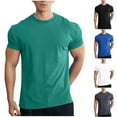 thumbnail image 1 of Men's Short Sleeve Muscle Fit T-Shirt Solid Crew Neck Athletic Tee, Quick Dry Workout Performance Jersey Bodybuilding Training Shirt for Fitness, 1 of 4