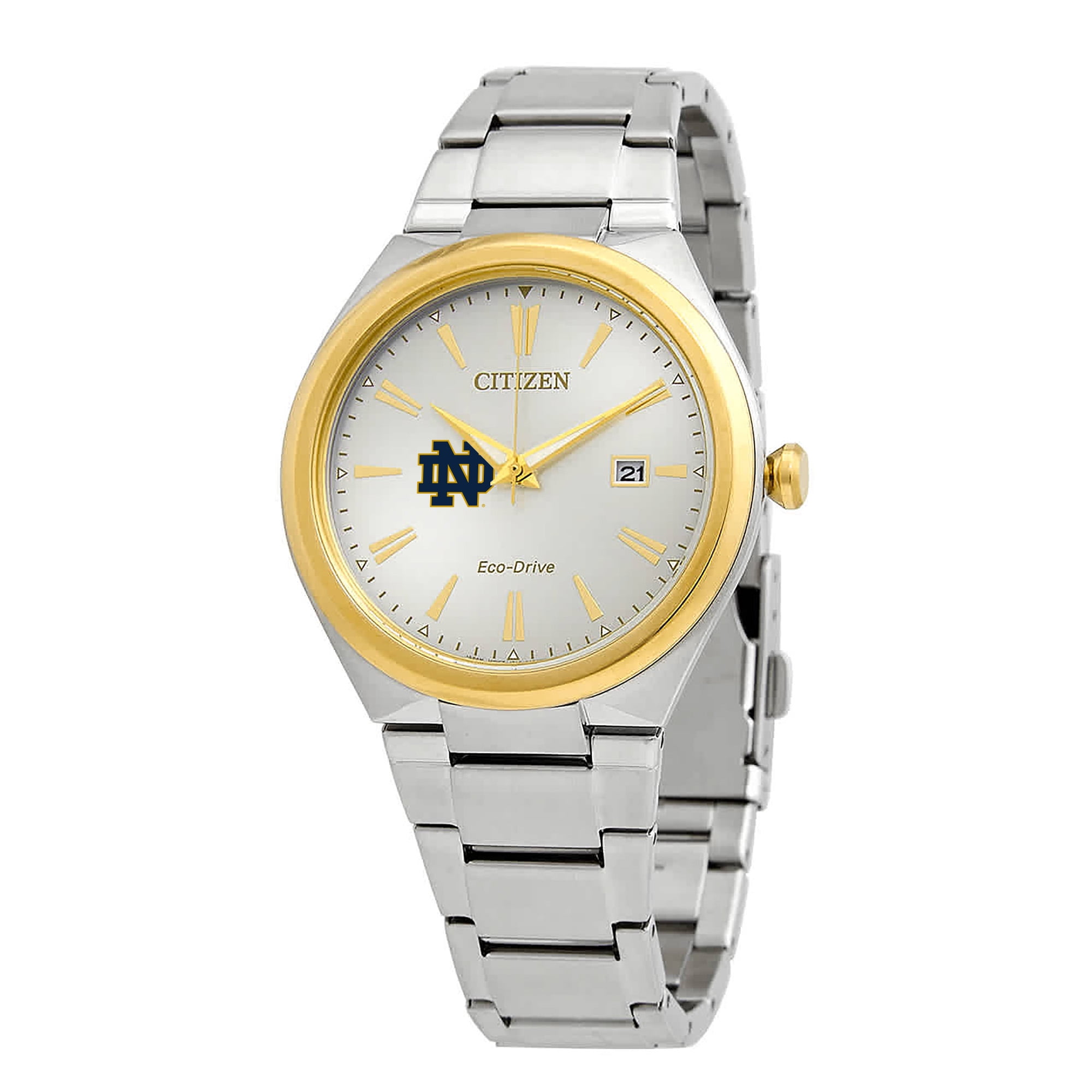 Notre Dame Watch