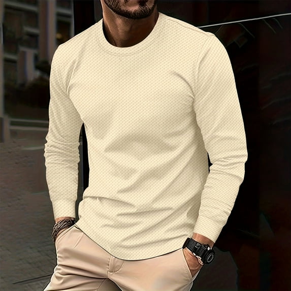 Men's Slim Fit Basic Round Neck T-Shirt Long Sleeve Solid Color T Shirts Casual Knit Pullover Thermal Brrathable Tops