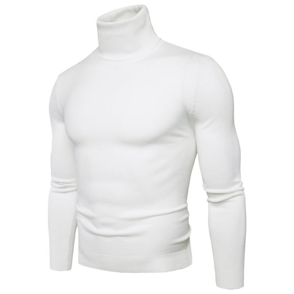 Men's Slim Fit Basic Tops Knitted Turtleneck Pullover Sweater (WH1 M)