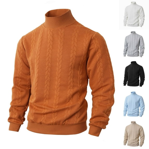 Men's Slim Fit Turtleneck Sweater Casual Knitted Twisted Pullover Solid Casual Chunky Fall Winter Warm Sweaters