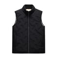 thumbnail image 1 of Men's Solid Color Casual Down & Cotton-padded Vest - Stand-up Collar Embossed Sleeveless Jacket, Black, Size L, 1 of 4