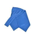 thumbnail image 1 of Men's Solid Color Satin Ascot Tie, 1 of 1