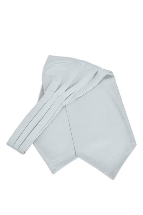 Men's Solid Color Satin Ascot Tie