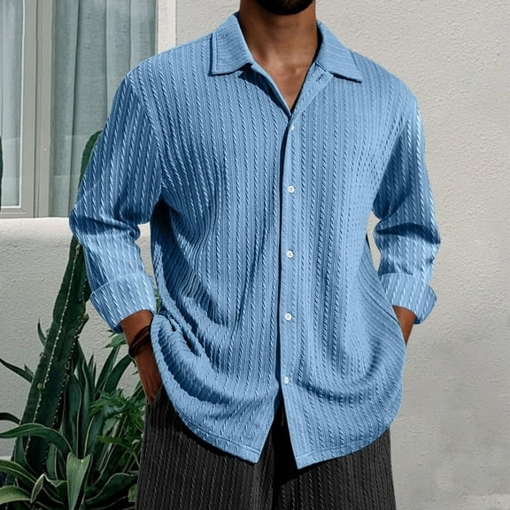 Men's Solid Ribbed Knit Button Down Shirts Casual Long Sleeve Solid Color Blouse Pullover Texture Collared Tops (L, Light blue)