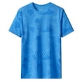 thumbnail image 1 of Men's Sports T-Shirt Lightweight Quick Drying Casual Short Sleeve Ice Silk Fabric for Comfort and Performance, 1 of 2