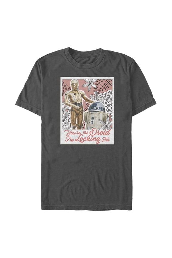 Men's Star Wars R2-D2 and C-3P0 Line Pattern Graphic Tee Charcoal Small