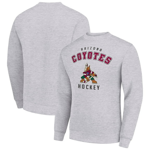 Men's Starter Heather Gray Arizona Coyotes Team Logo Fleece Pullover Sweatshirt