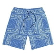 thumbnail image 1 of Men's Summer Boho Paisley Print Shorts Casual Adult Drawstring High Waisted Graphic Shorts with Pocket Mens Shorts Athletic with Pockets, 1 of 6