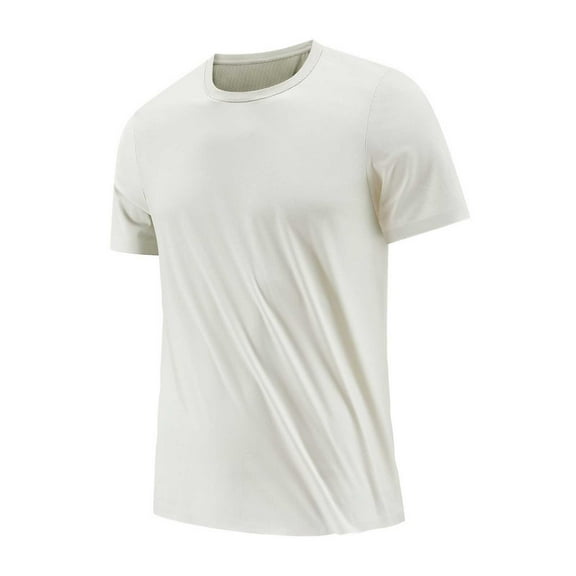Men's Summer Solid Color Ice Silk T-Shirt - Polyester Round Neck Quick-Drying Top