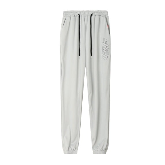 Men's Summer Thin Ice Silk Quick Dry Pants - Harlan Style, Polyester, Sports/Leisure, M-XXXXL, Elastic Waist