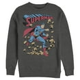 thumbnail image 1 of Men's Superman Hero Break Barriers Sweatshirt Charcoal Heather Small, 1 of 3