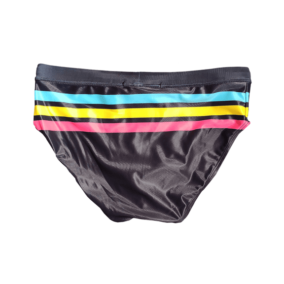 Men's Swim Briefs Striped Quick Dry Swimsuit Bathing Suit