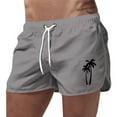 thumbnail image 1 of Men's Swim Trunk Coconut Tree Quick Dry With Pockets Swimwear Bathing Suits Beach Outdoor Grey L, 1 of 4