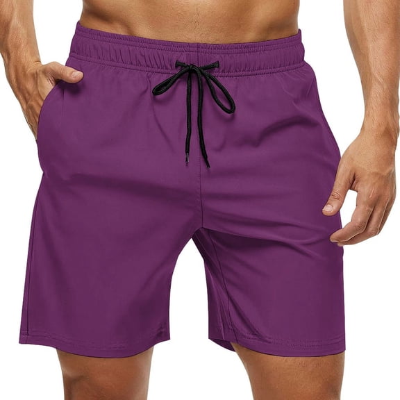 Men's Swim Trunks Quick Dry Bathing Suit Swimming Board Shorts Mesh Lining Beach Swimwear Byzantium PURPLE