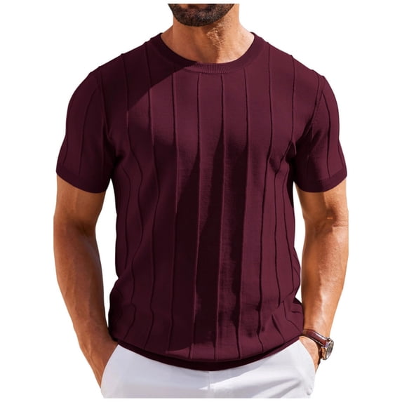 Men's T- Shirts Short Sleeve Knit Sweater Shirt Casual Crewneck Ribbed Pullover Tees (Wine,2XL)