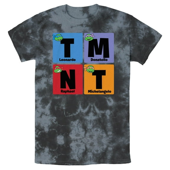 Men's Teenage Mutant Ninja Turtles Colorful Turtle Elements  Graphic Tee Black/Charcoal 2X Large