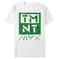 thumbnail image 1 of Men's Teenage Mutant Ninja Turtles Martial Arts Gear Graphic T-Shirt, 1 of 5