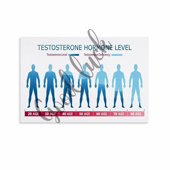 Men's Testosterone Hormone Level Medical Poster Men's Wellness Educational Chart (2) Canvas Painting Wall Art Poster for Bedroom Living Room Decor