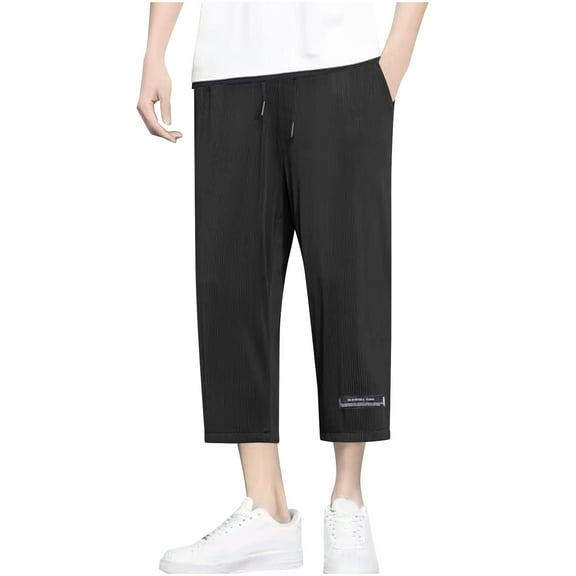 Men's Textured Summer Thin Casual Pants Baggy Wide Leg Cropped Pants Lightweight Versatile Beach Pants