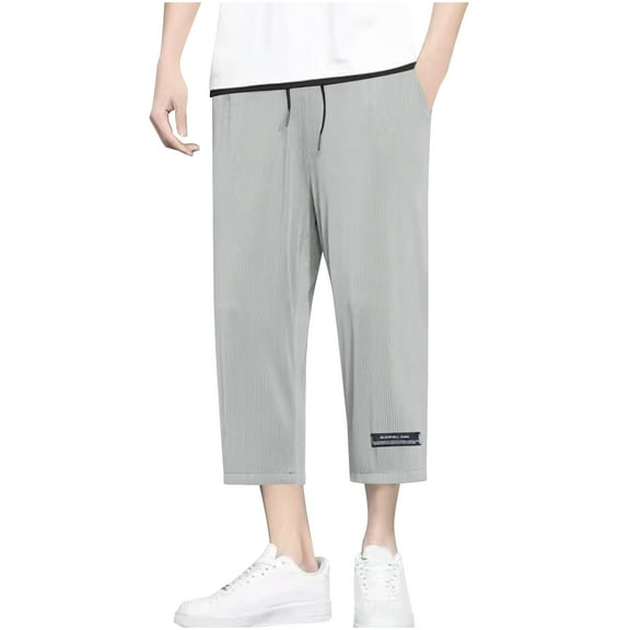 Men's Textured Summer Thin Casual Pants Baggy Wide Leg Cropped Pants Lightweight Versatile Beach Pants