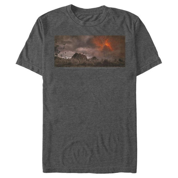 Men's The Lord of the Rings Fellowship of the Ring Fall of Mordor Graphic Tee Charcoal Heather Medium