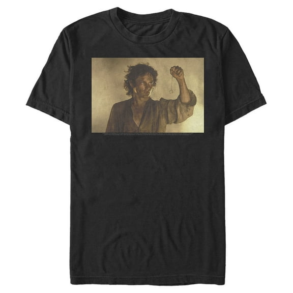 Men's The Lord of the Rings Fellowship of the Ring Frodo Last Look  Graphic Tee Black 3X Large