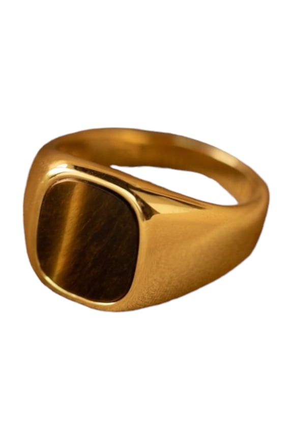 Men's Tigers Eye Ring by Caitlyn Minimalist Chunky Vintage Statement Ring Signet Gemstone Ring Men's Jewelry Boyfriend Gift || Ali Baba Jewellery