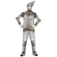 thumbnail image 1 of Men's Tin Fellow Costume, 1 of 4