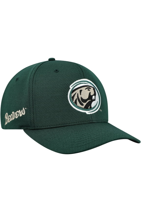 Men's-Top of the World Green Bemidji State Beavers Reflex Performance Flex Hat
